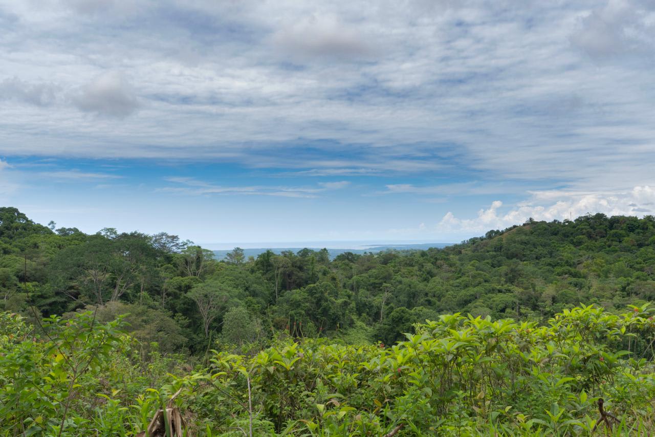 Sierpe Sunset and Jungle Views, 10 Acre Property, OSA!