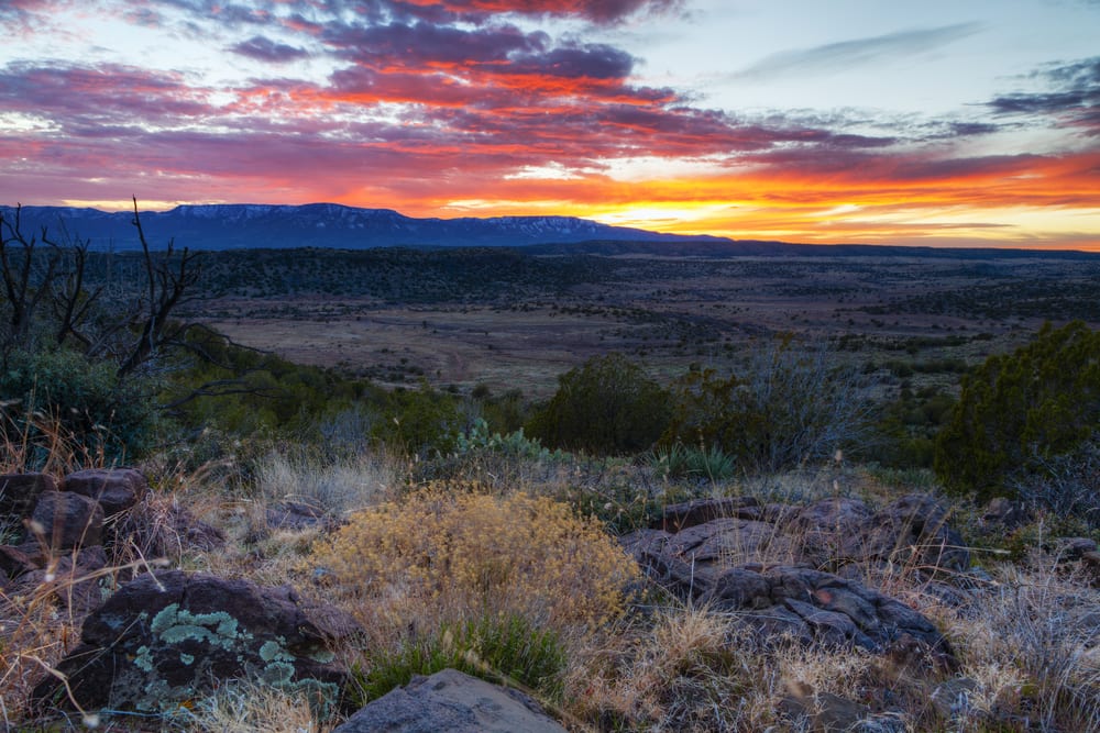 Preparing for the Incredible Arizona Desert Monsoons