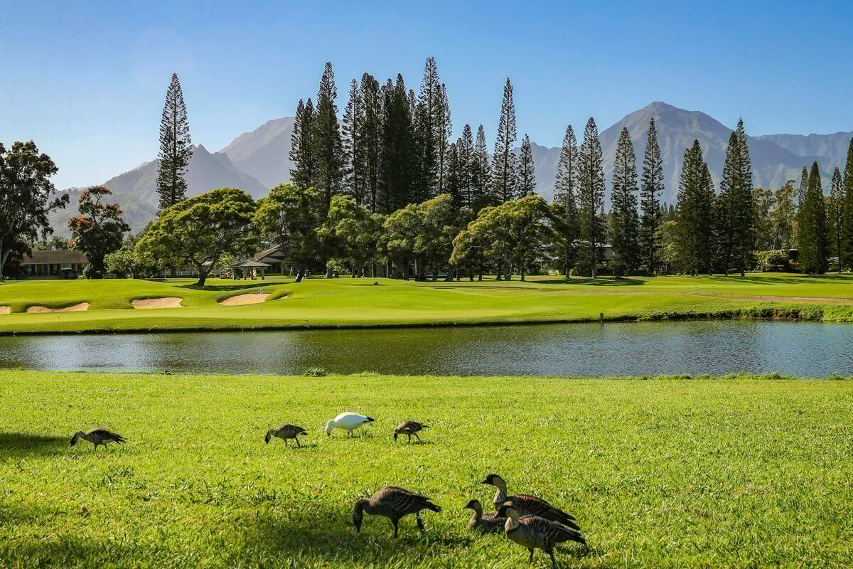 Kauai Golf Courses: Where to Play on the Garden Isle