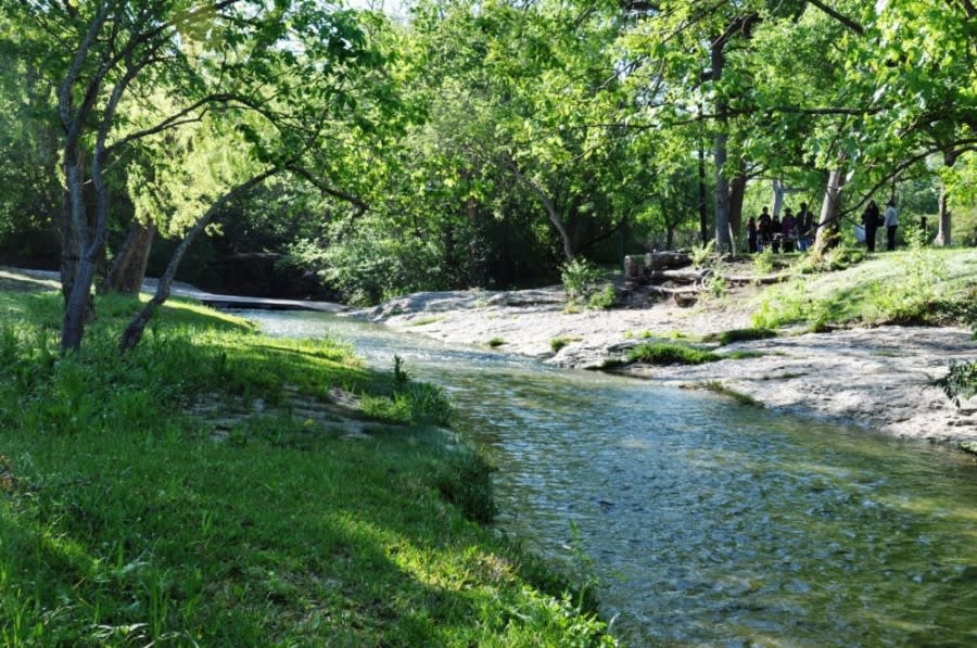 Pfluger Park, Pfluger Park Paradise, streams, trees, hiking, wildlife, trails, Paradise, Nature lovers, Nature, greenery, 