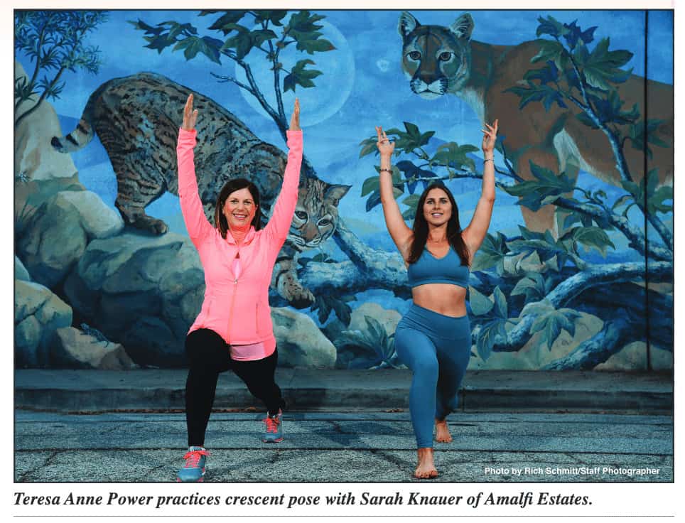 The Pose – Palisadian Post