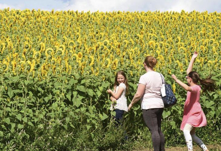 Exploring Greater Newburyport: A Guide to Nearby Farms