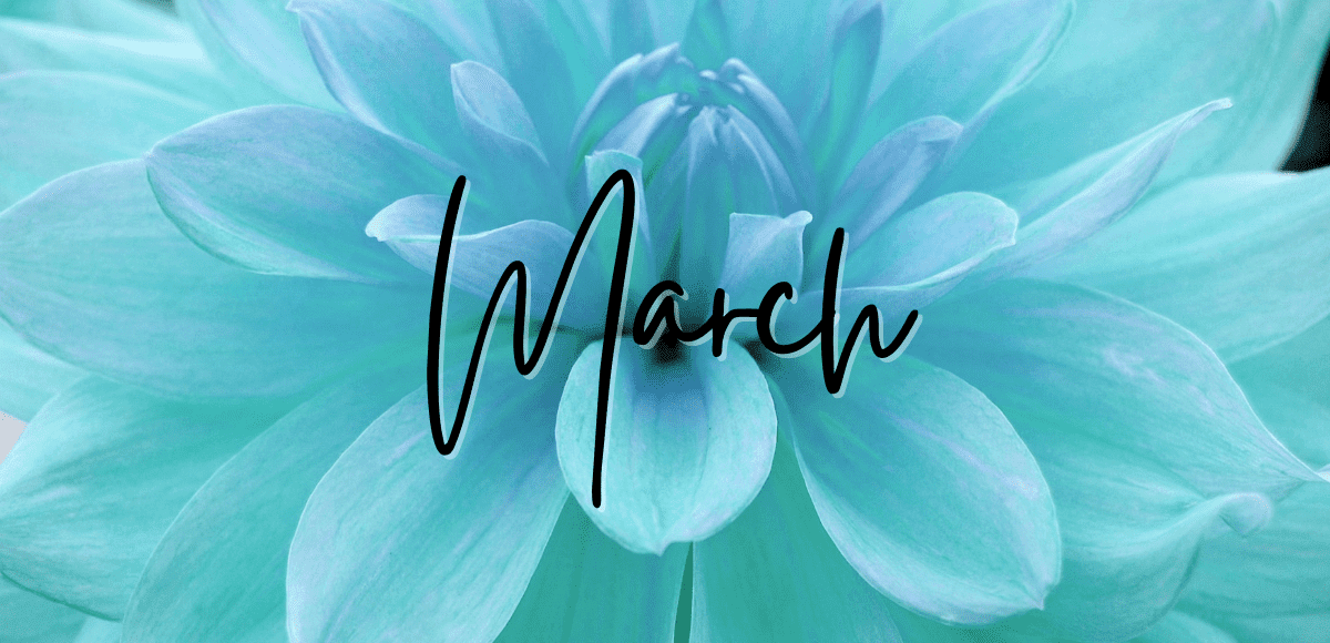 SAN FRANCISCO REAL ESTATE MARKET UPDATE – March 2022