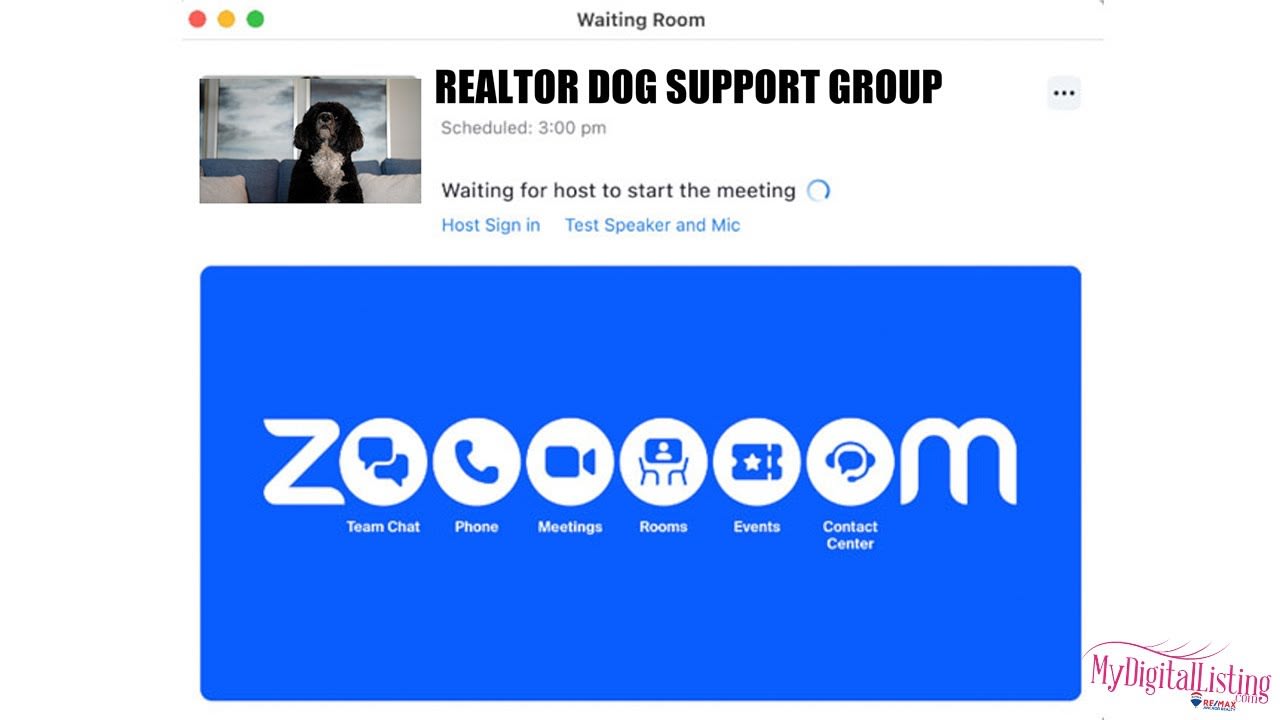 Realtor Dog Support Group Zoom Call