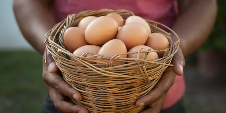 Local Love – Summer 2021, Part 2