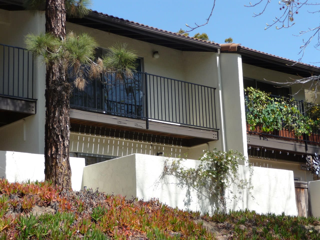 1066 Miramonte Dr APT 4