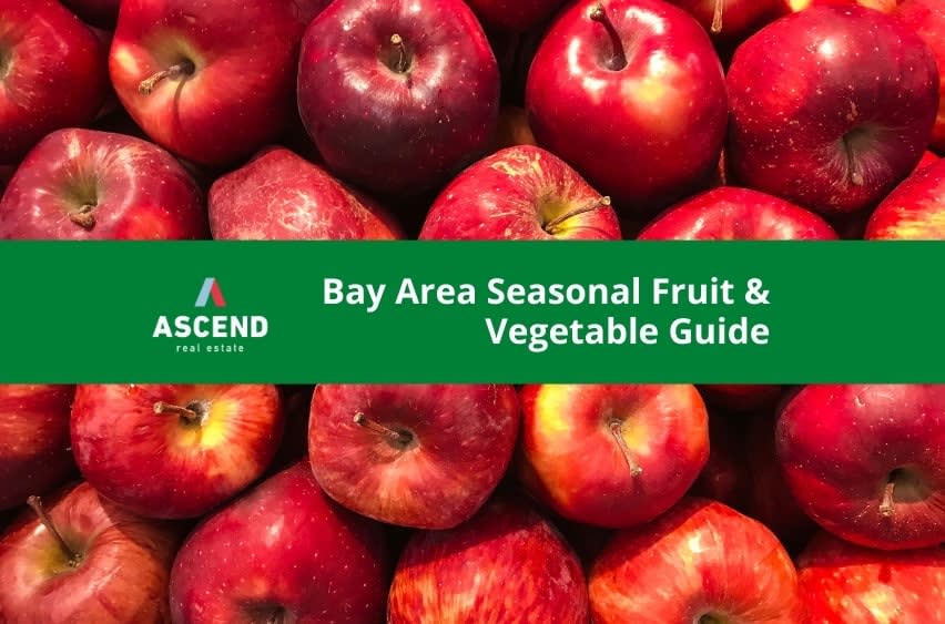 Bay Area Seasonal Fruit & Vegetable Guide