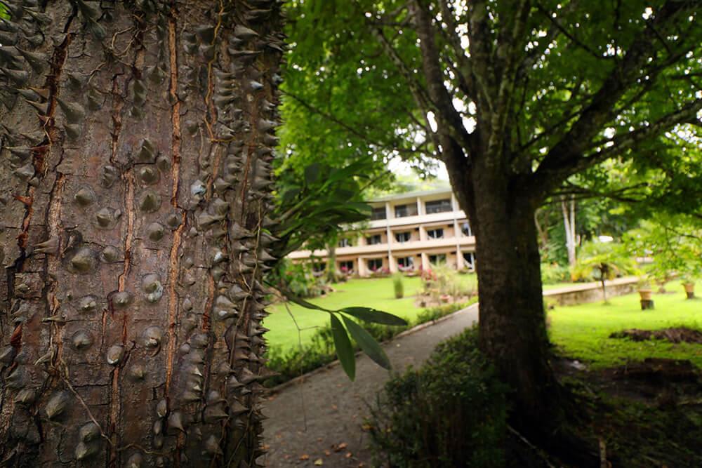 Manuel Antonio Beachfront Hotel