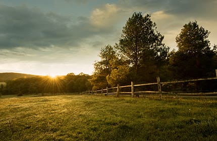 Goin’ Country vs. City Mouse: How to Know Where to Buy