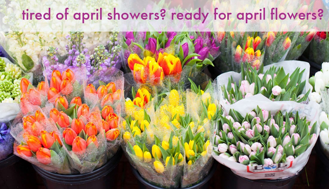 Tired of April Showers?