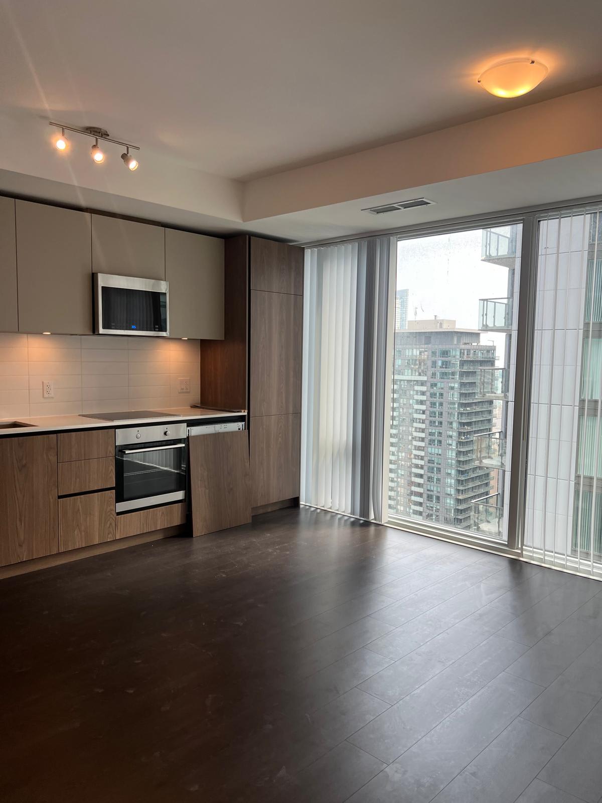 28 Widmer St Unit: 3421