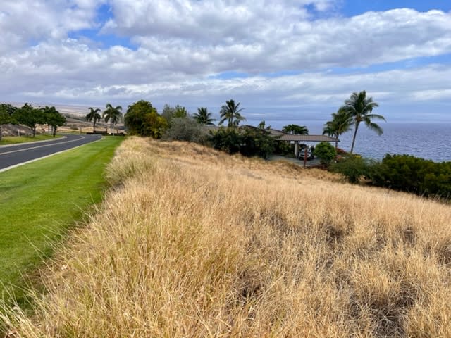 KOHALA WATERFRONT