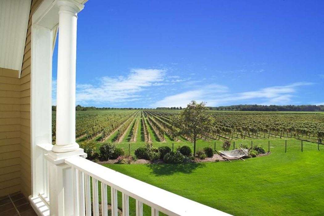 Country Vineyard Estate