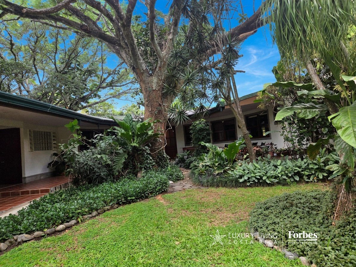 Single-level villa in a tropical garden courtyard beneath a large shade tree.