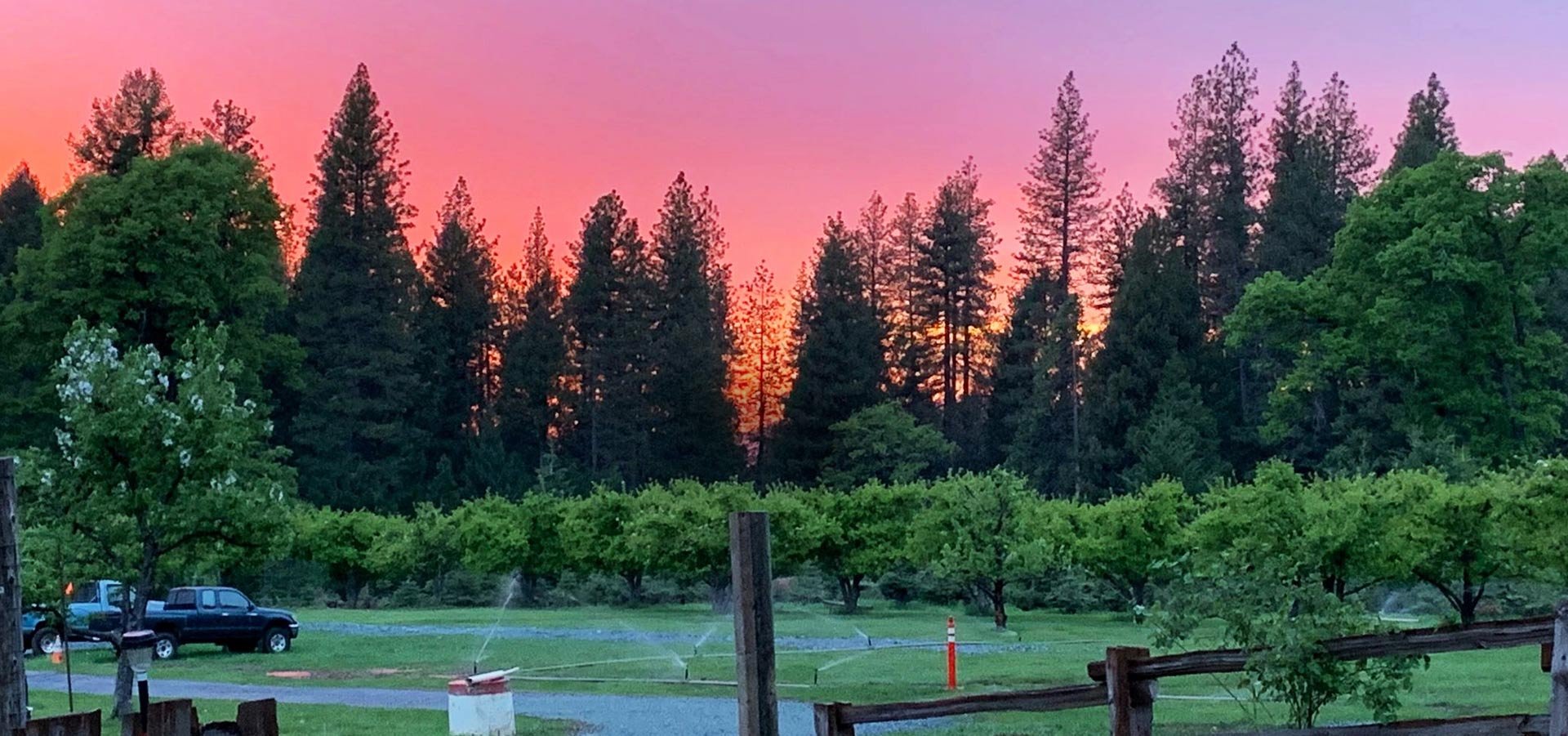 Harris Family Farm sign and apple orchards