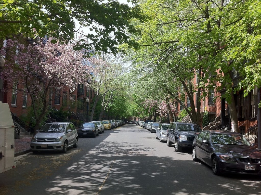 157 W Brookline St #4