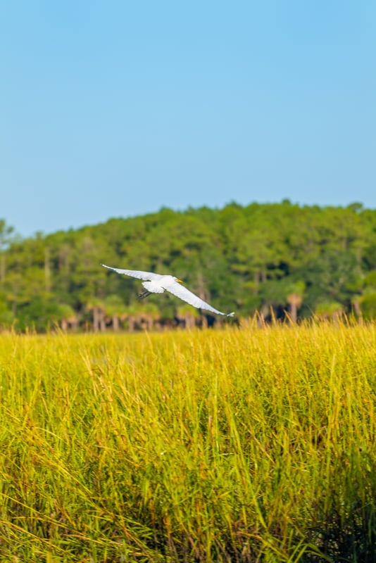 Fun Activities in Rose Hill, SC for All Ages