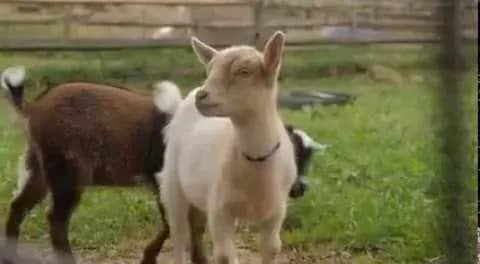 Welcome to North Stamford