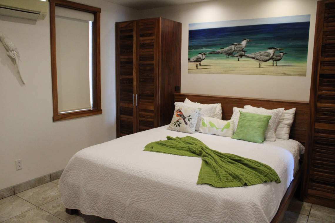 Casa Oltmann - Oceanfront Playa Potrero