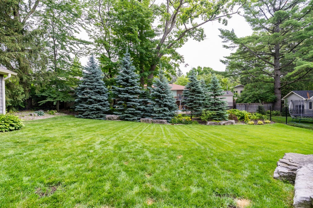 1519 Douglas Drive