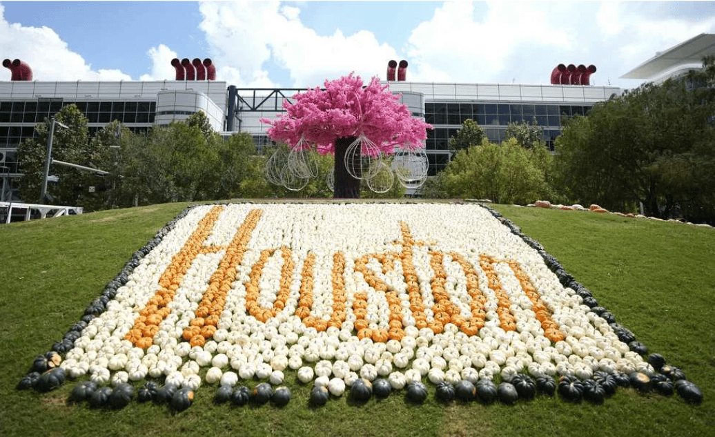 Rows of pumpkins spell “HOUSTON” beneath a pink flowering tree sculpture.