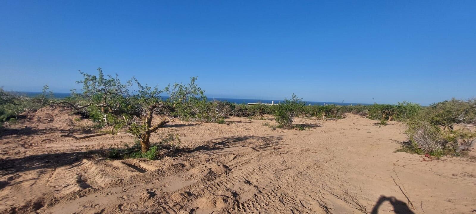 Las Playitas Nature Lot