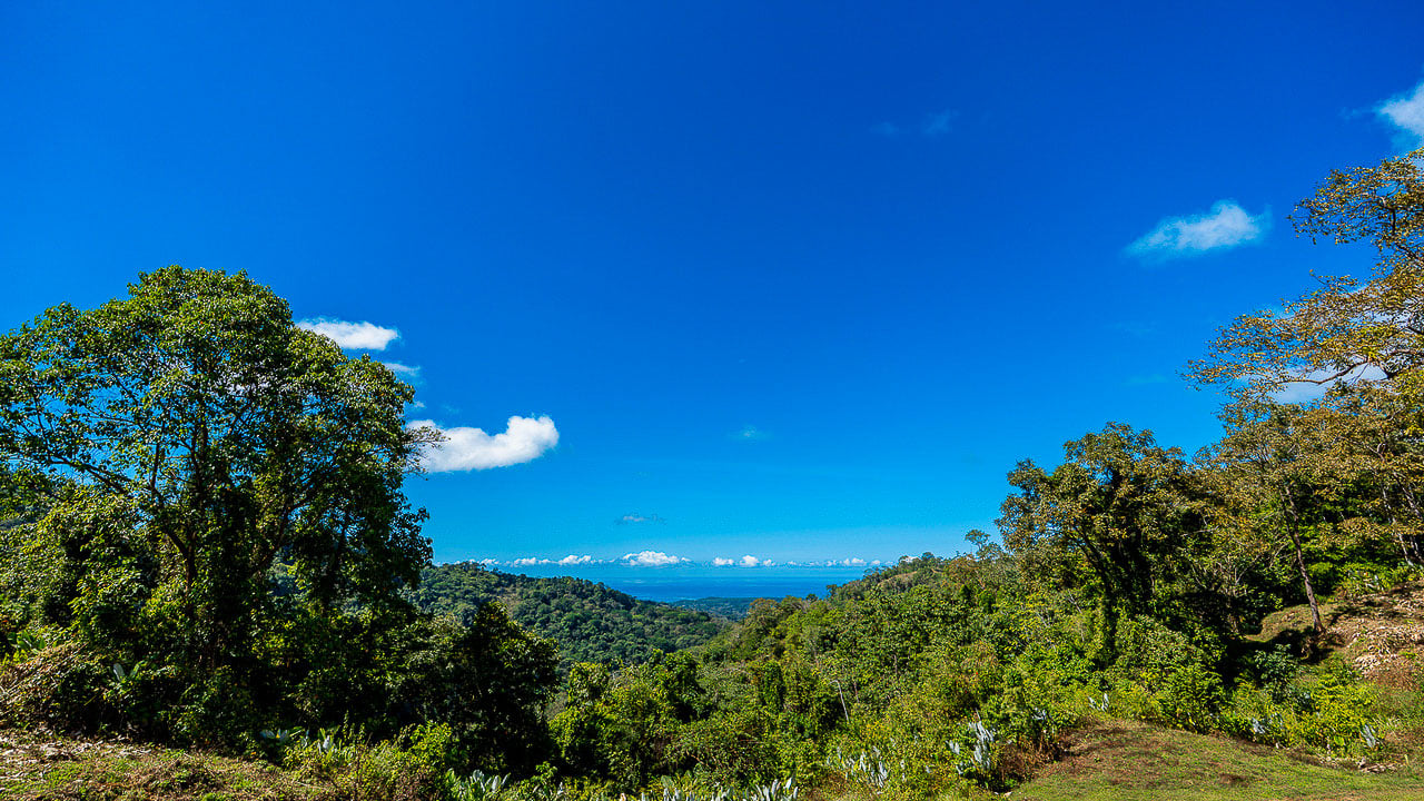 Whale Tail Views Luxury Waterfall Farm