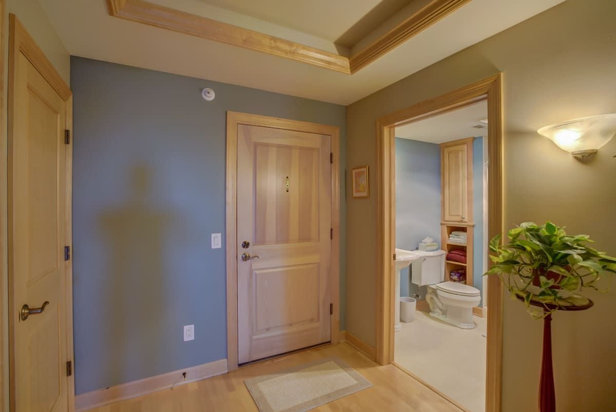 Entry hall with light wood trim, a potted plant, and an open doorway to a bathroom.