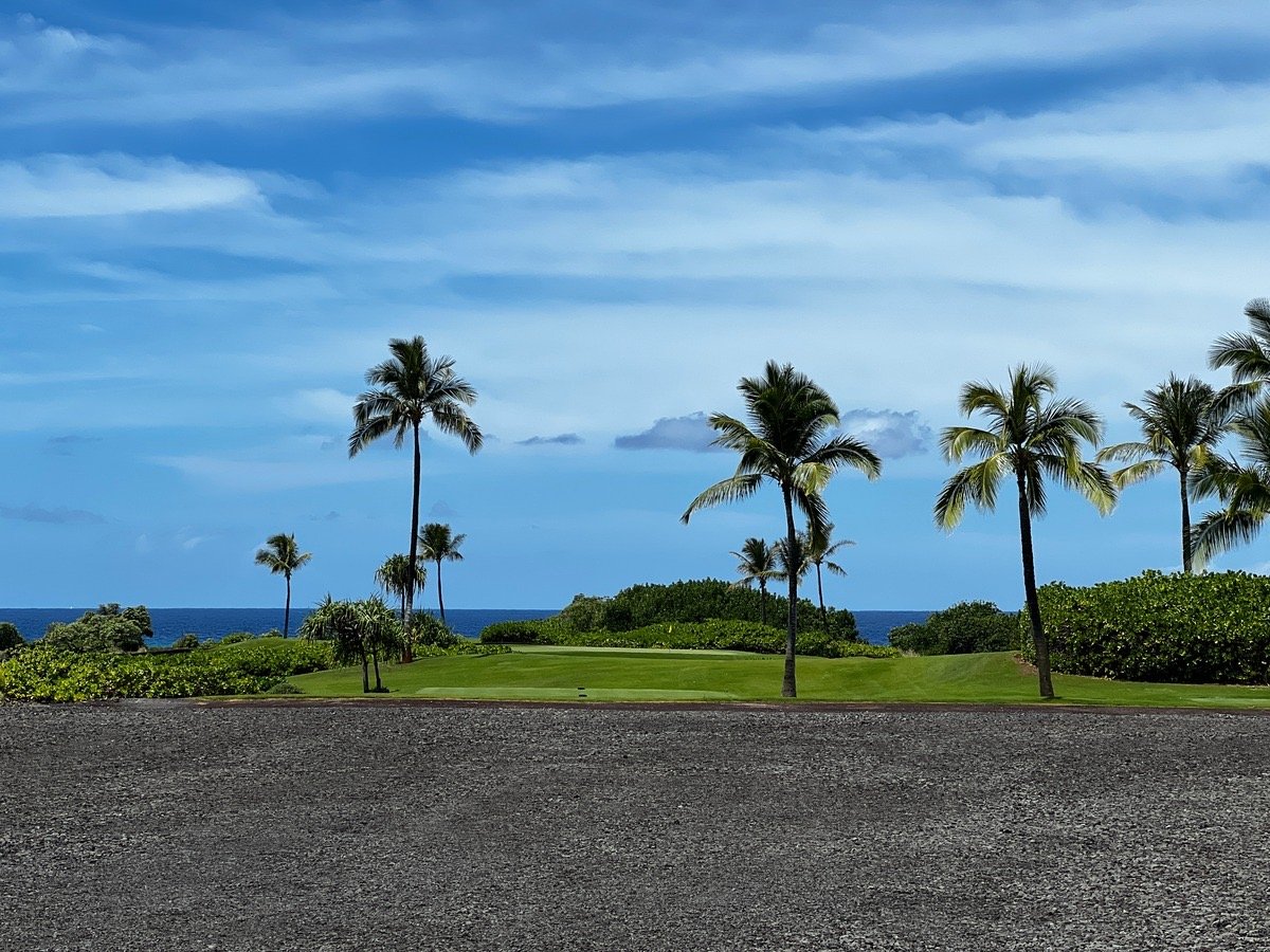 Homesite 36