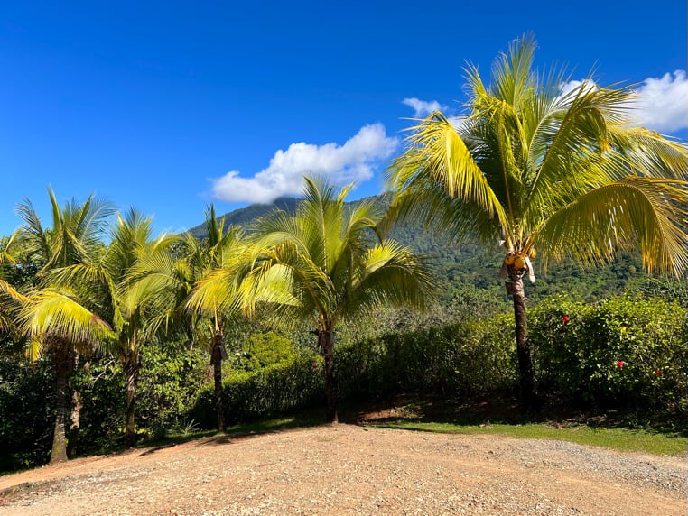 Peaceful 2-Bedroom Home in a Lush Garden in Ojochal