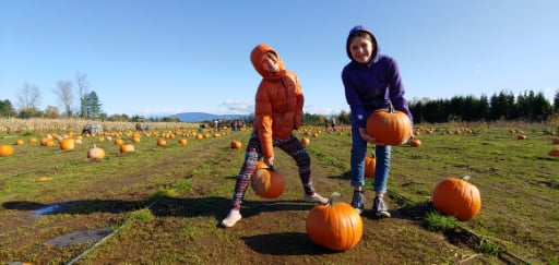 Two people holding pumpkins in a muddy pumpkin patch dotted with pumpkins.