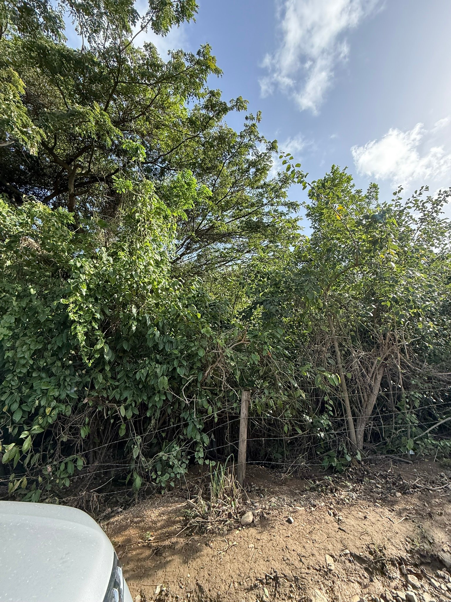 1081 Josiah's Bay 1 Acre Land