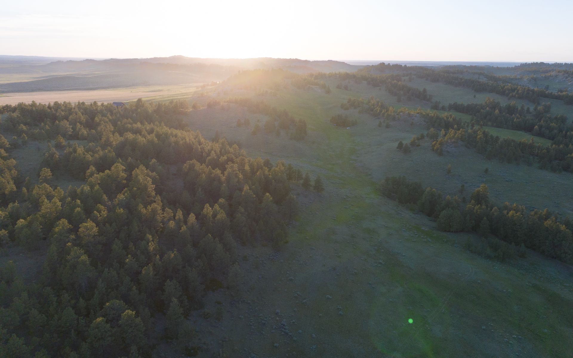 Elk Rich Ranch
