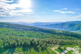 17602 S Wolf Creek Cir