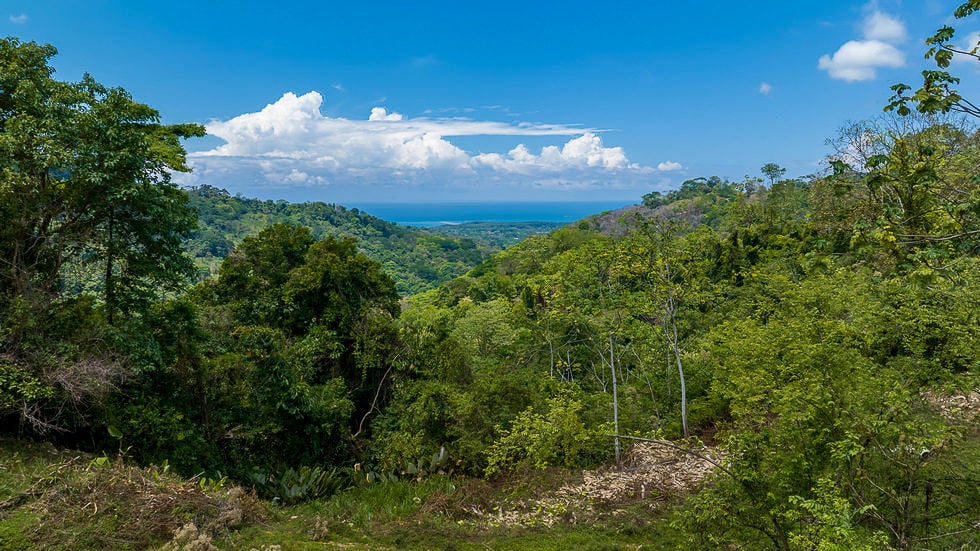 Whale Tail Views Luxury Waterfall Farm