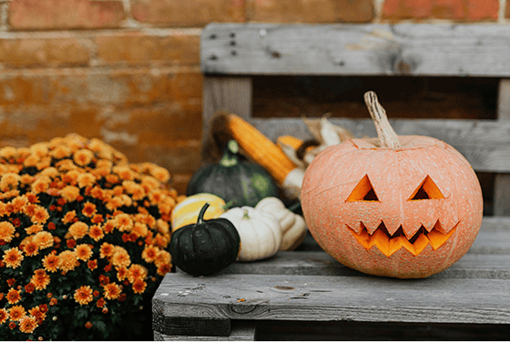 The Scoop: | South Fl October 2025 – Fall Vibes & Festive Finds | One Sotheby’s