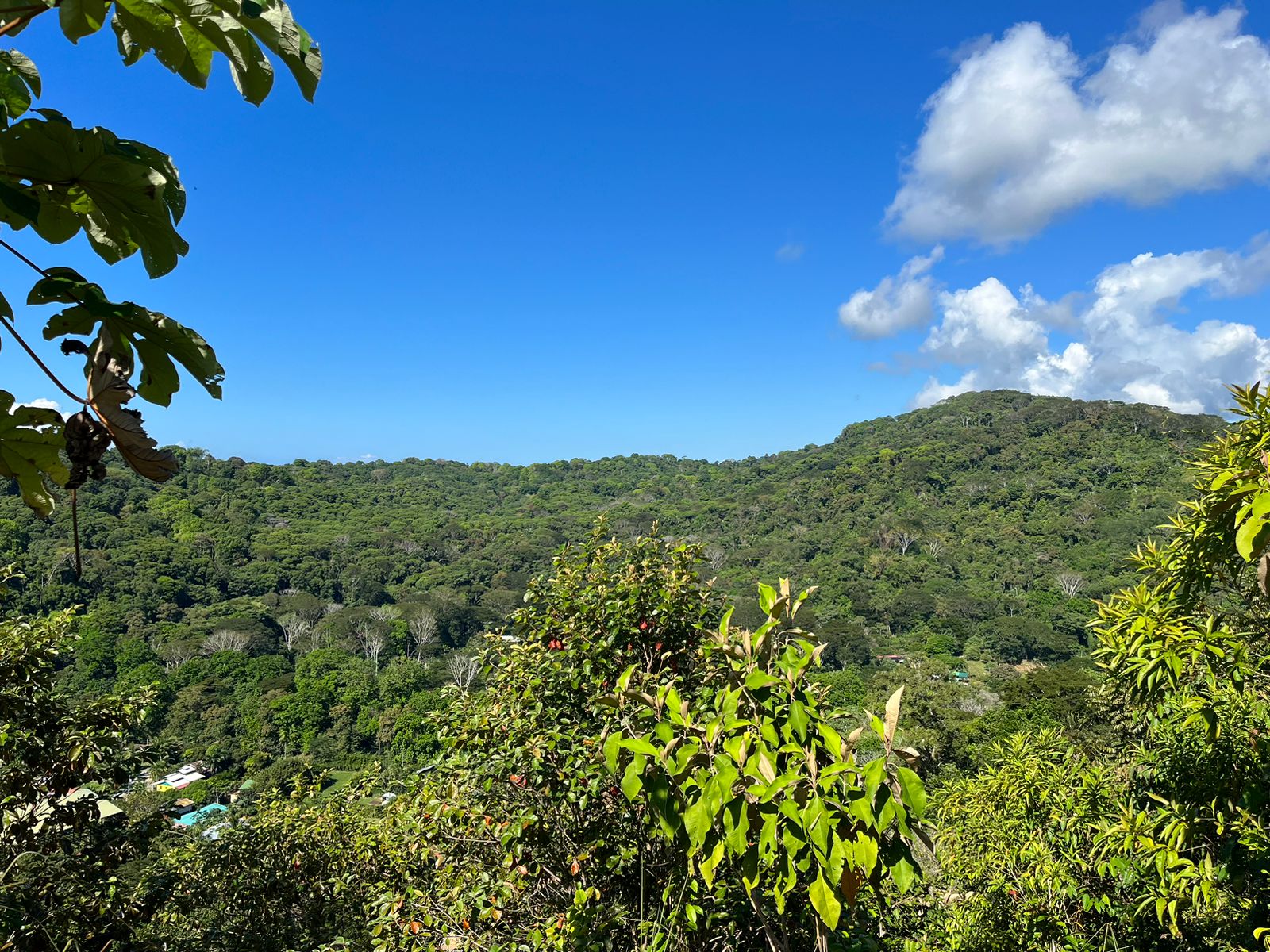 Cinematic Ocean&Mountain View Property In Vista Dominical Estate, Minutes From The Beach!