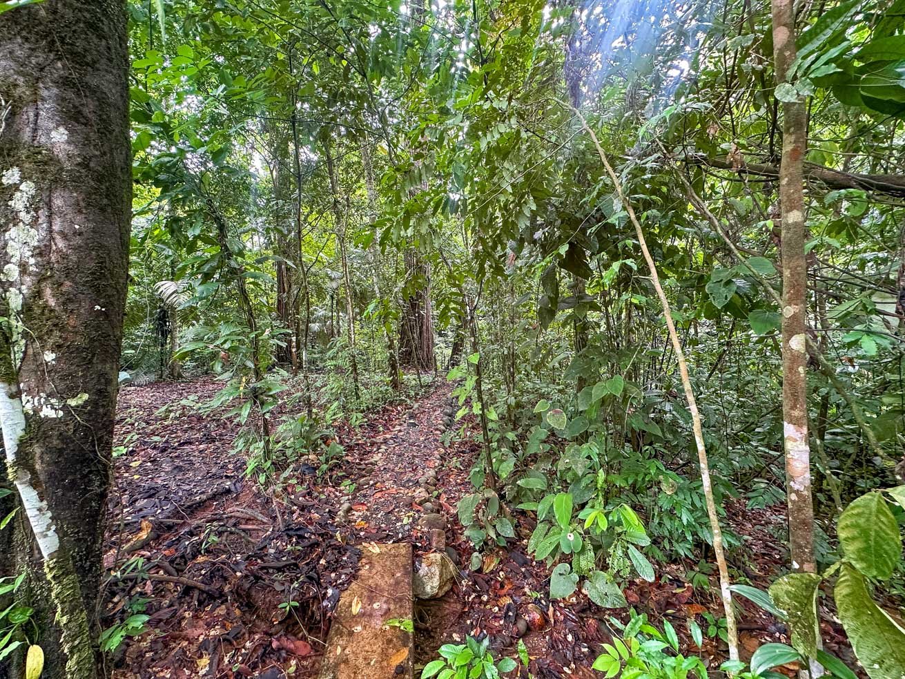 Rainforest Home with River, Jungle Trails & Pool in Ojochal