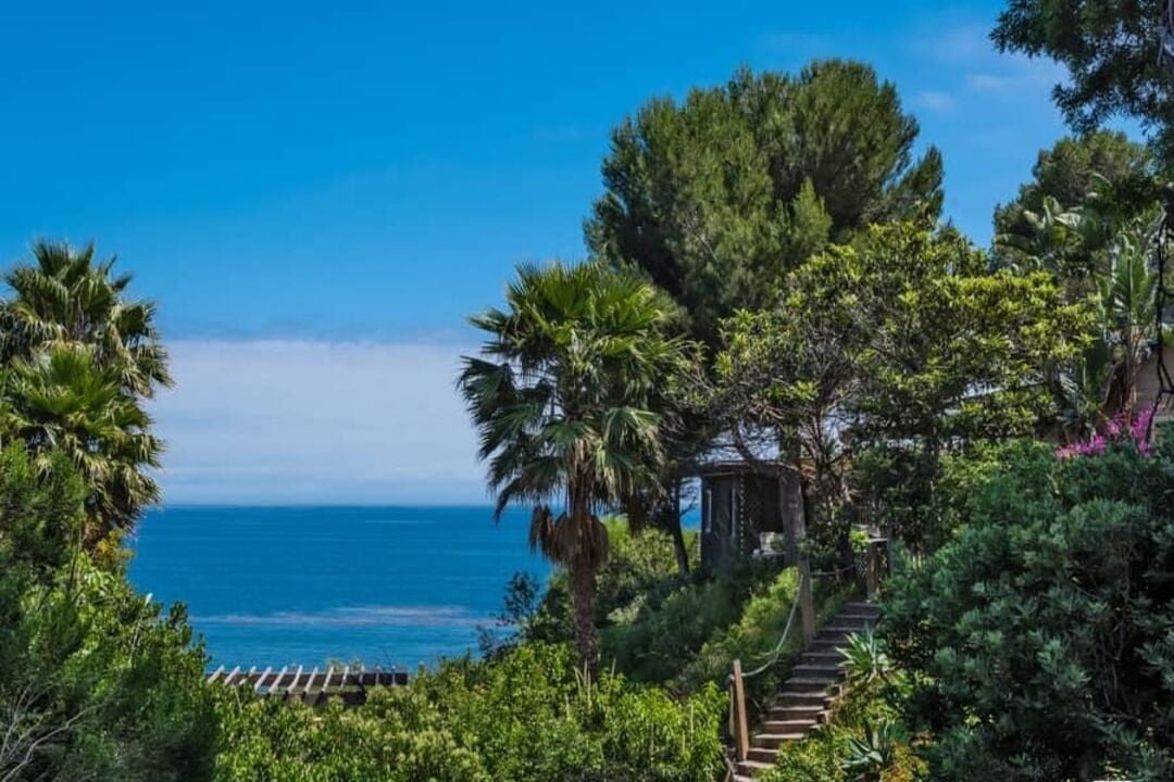 Aurex Reserve, Pacific Coast Hwy, 90265