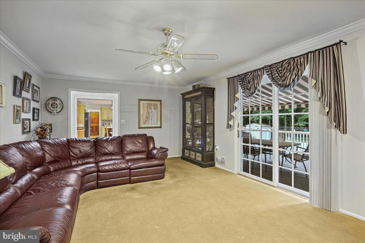 11 Canvasback Rd