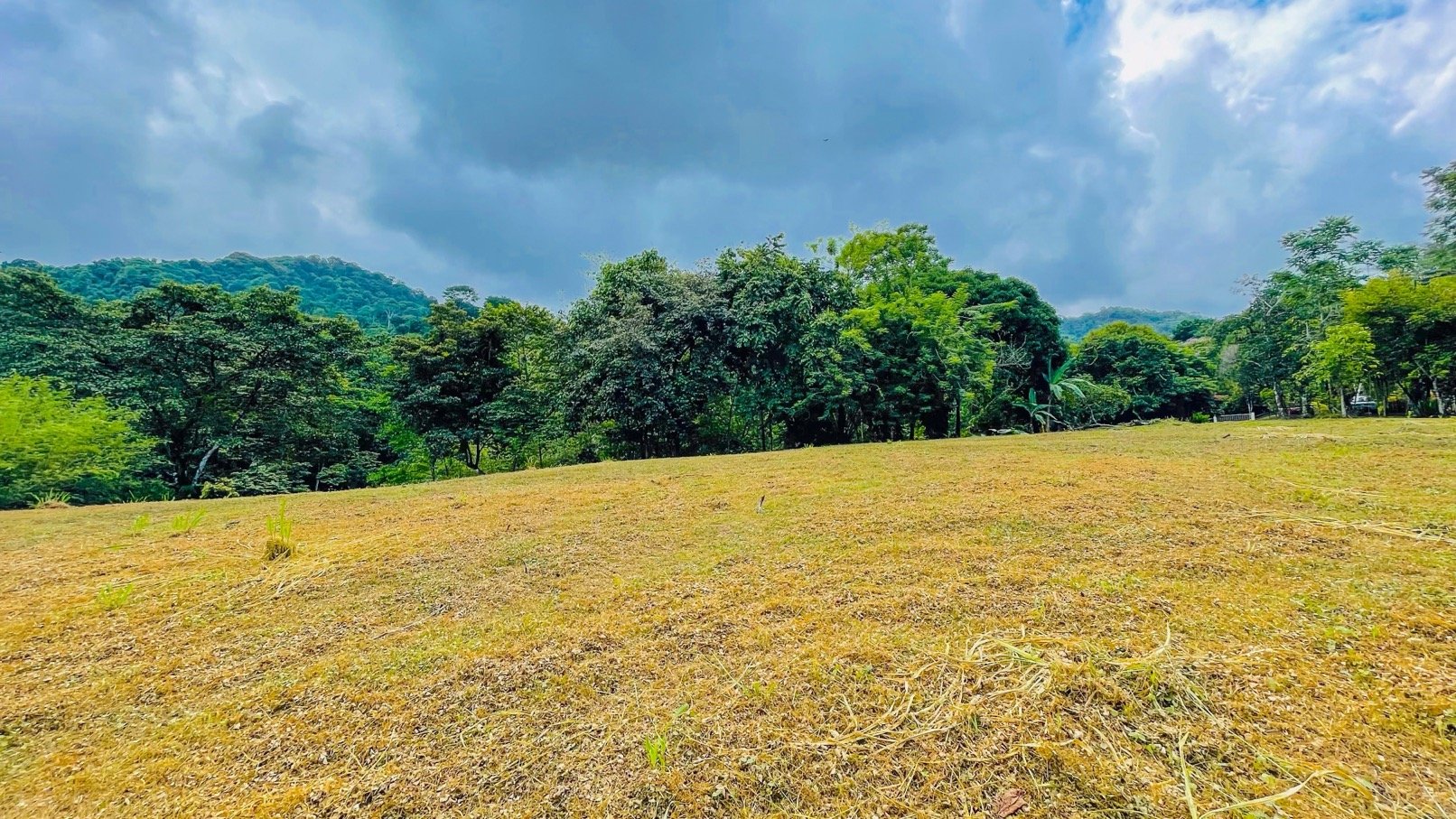 COSTA RICA LAND FOR SALE | LARGE FLAT PRIVATE PROPERTY WITH MOUNTAIN VIEWS, RIVER & FRUIT TREES