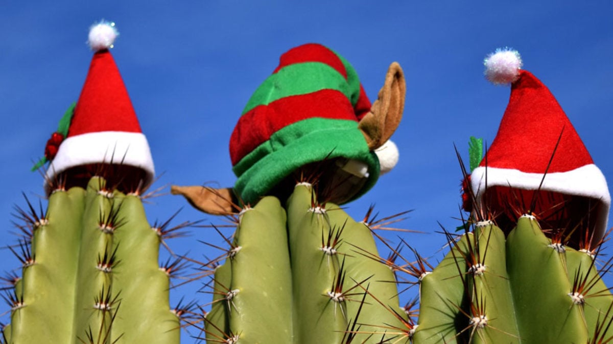 December 2024 Newsletter