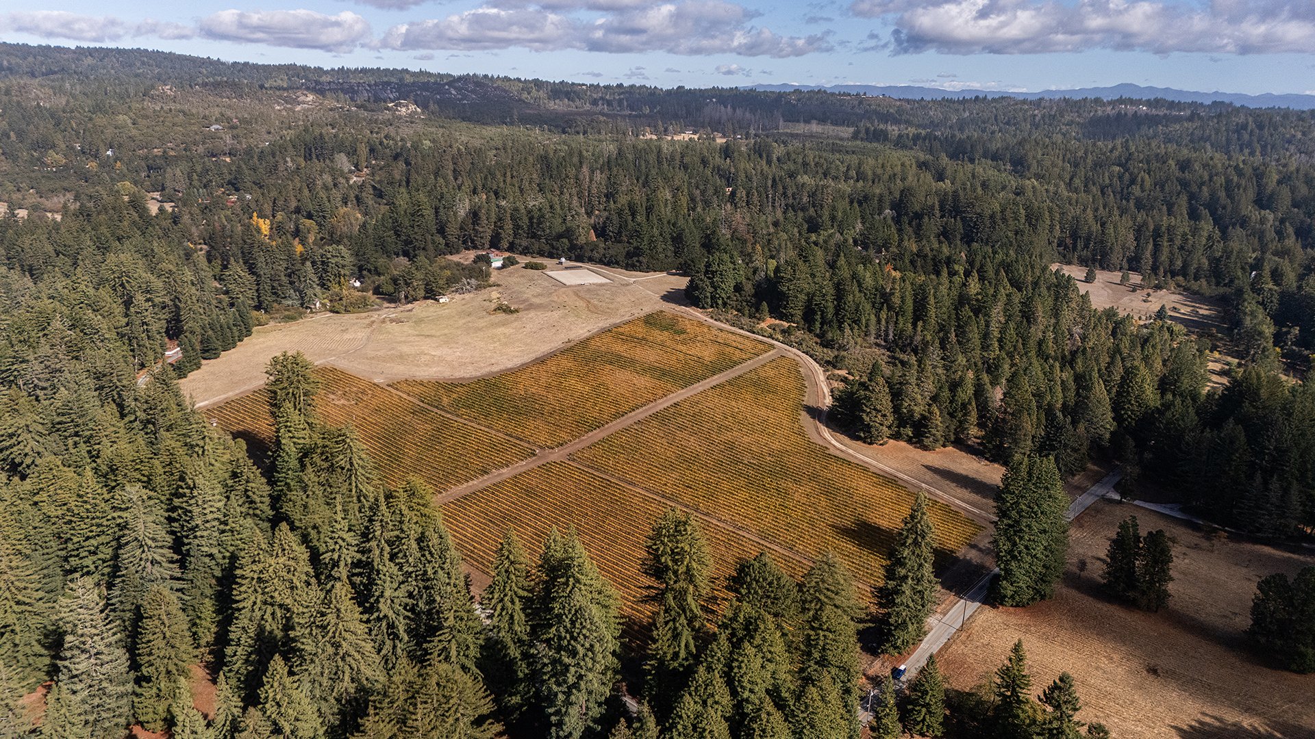 Santa Cruz Vineyard & Horse Property