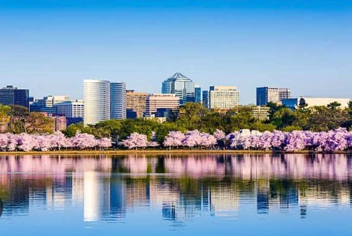 Arlington Living: Where Urban Energy Meets Community Charm