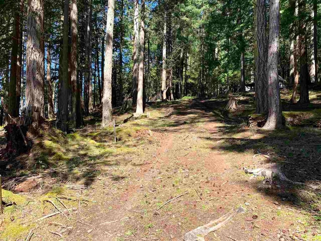 413 Campbell Bay Rd