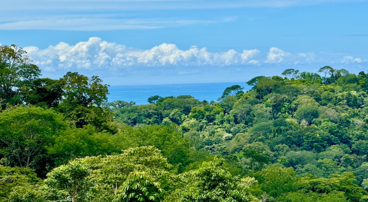 Stunning Residential Lots in Uvita - Panoramic Ocean & Mountain Views