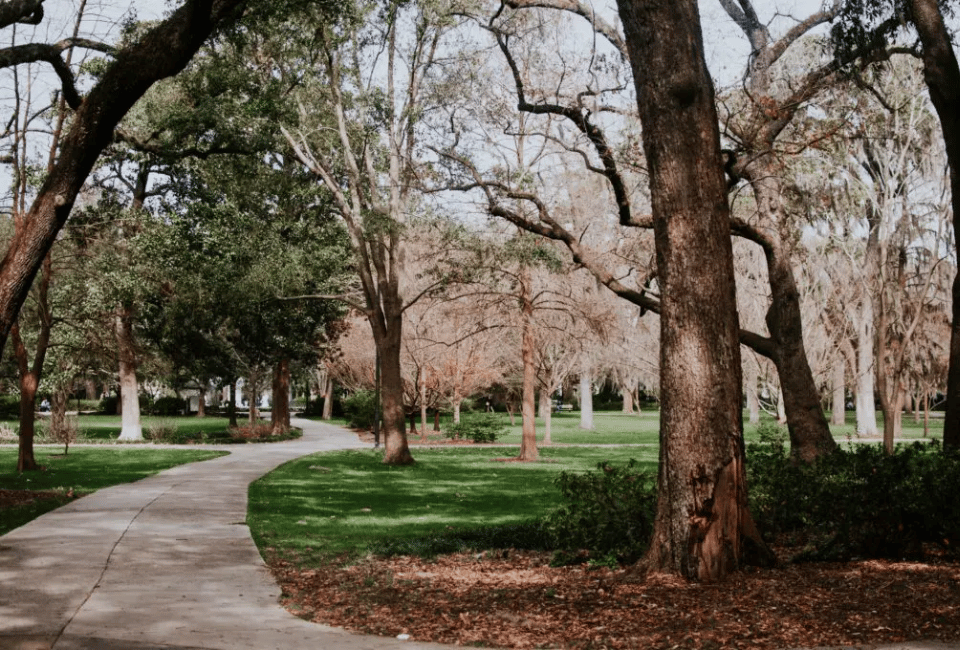 Grant Park