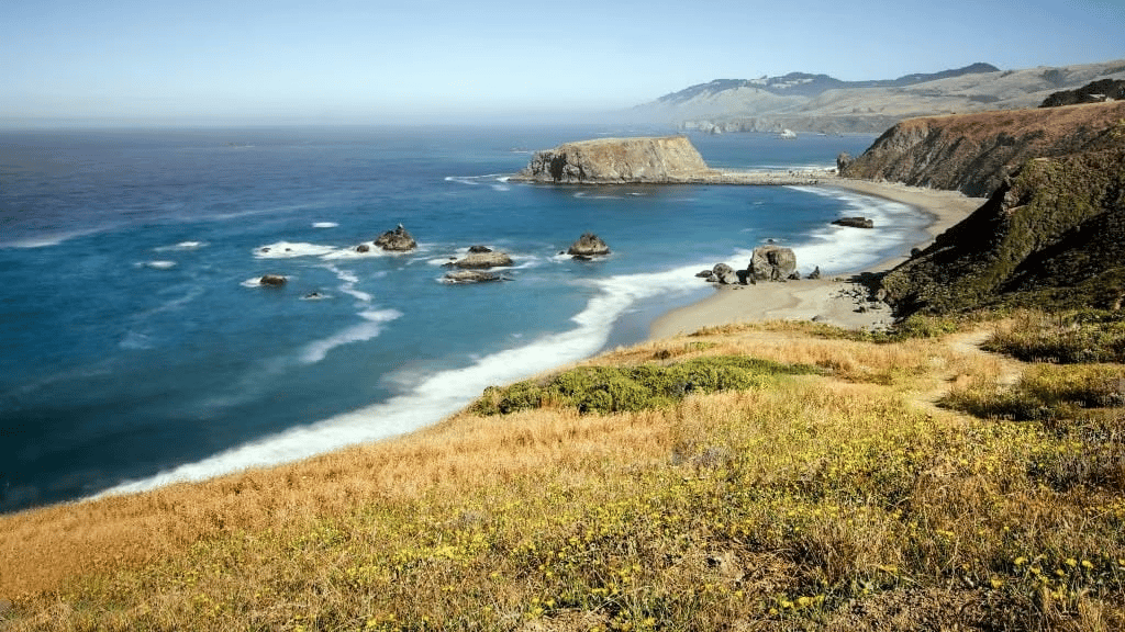 July 2025 Monthly Sales Data