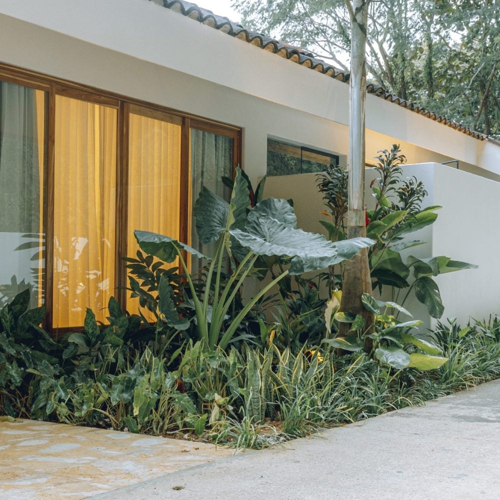 Casa Amigos