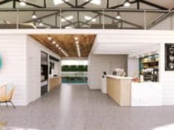 Social Pickleball Fun